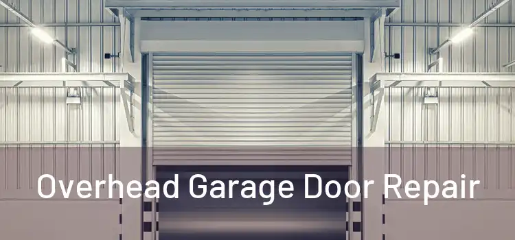 Overhead Garage Door Repair